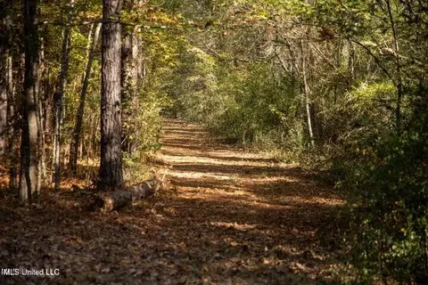 Vaughan Rd Road, Vaughan, MS 39179 photo 12