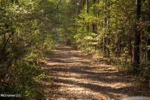 Vaughan Rd Road, Vaughan, MS 39179 photo 11