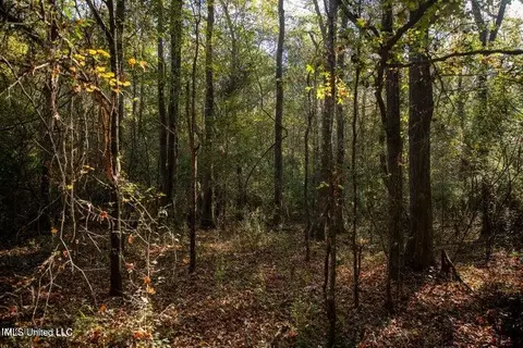 Vaughan Rd Road, Vaughan, MS 39179 photo 13