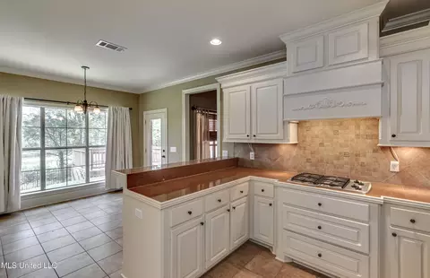 119 Brierfield Dr, Madison, MS 39110 photo 14