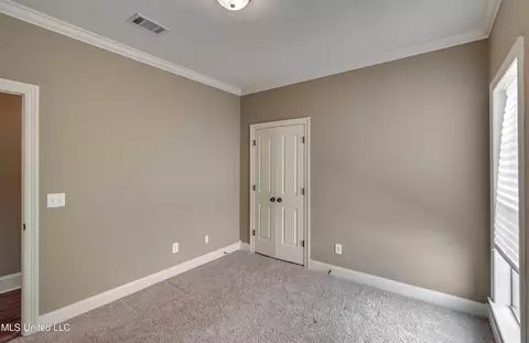 119 Brierfield Dr, Madison, MS 39110 photo 28