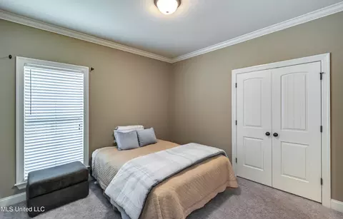 119 Brierfield Dr, Madison, MS 39110 photo 29