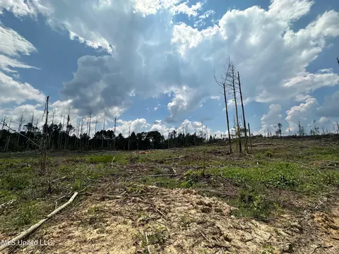 0 Whitetown Ln, Hazlehurst, MS 39083