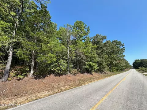 1 Highway 790, Ackerman, MS 39735 photo 11
