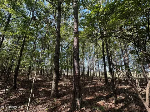 1 Highway 790, Ackerman, MS 39735 photo 9