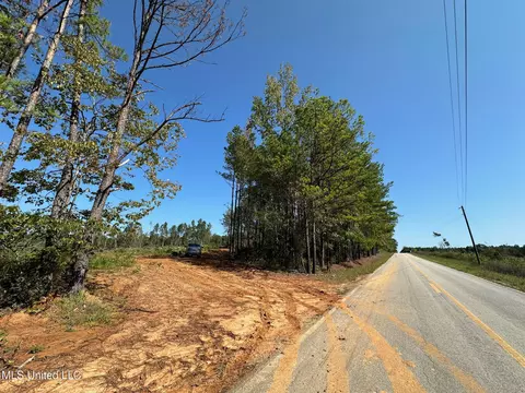 1 Highway 790, Ackerman, MS 39735 photo 2