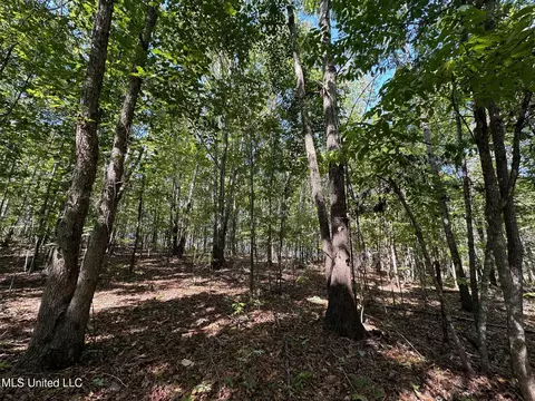 1 Highway 790, Ackerman, MS 39735 photo 10