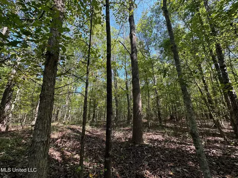 1 Highway 790, Ackerman, MS 39735 photo 15