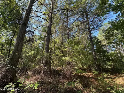 1 Highway 790, Ackerman, MS 39735 photo 12
