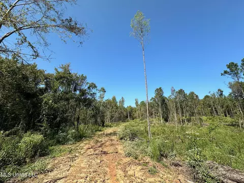 1 Highway 790, Ackerman, MS 39735 photo 7