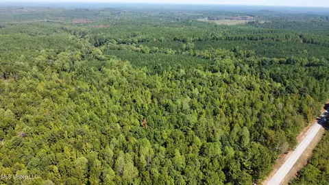 1 Highway 790, Ackerman, MS 39735 photo 21