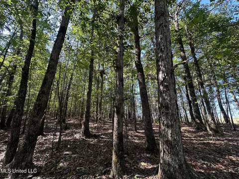 1 Highway 790, Ackerman, MS 39735
