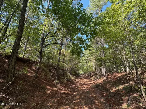 1 Highway 790, Ackerman, MS 39735 photo 6