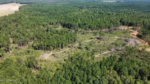 1 Highway 790, Ackerman, MS 39735 photo 18