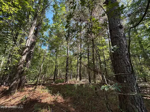 1 Highway 790, Ackerman, MS 39735 photo 14