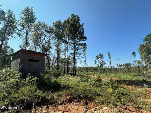 1 Highway 790, Ackerman, MS 39735 photo 5