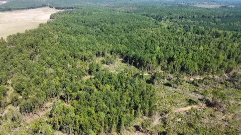 1 Highway 790, Ackerman, MS 39735 photo 19