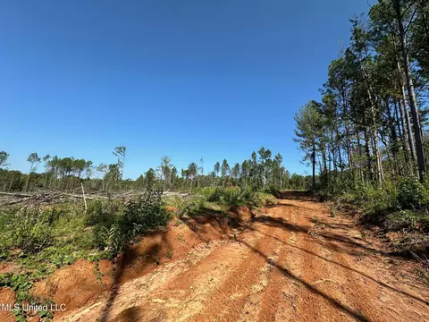 1 Highway 790, Ackerman, MS 39735 photo 3