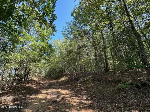 1 Highway 790, Ackerman, MS 39735 photo 8