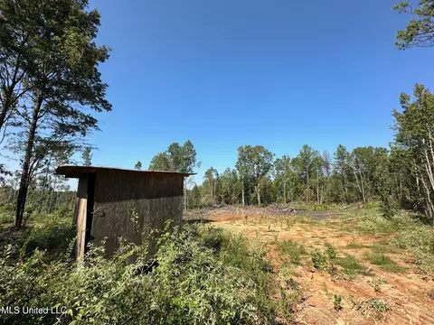 1 Highway 790, Ackerman, MS 39735 photo 4