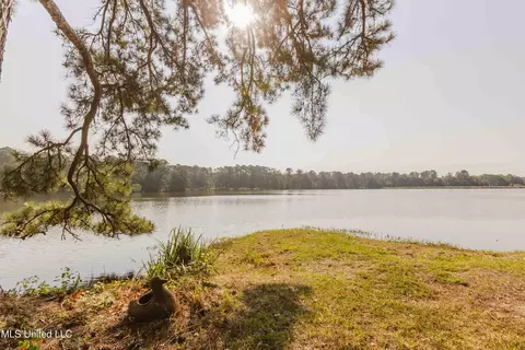 View/Area - 3940 Forest Hill Rd, Jackson, MS 39212 photo 2 of 4