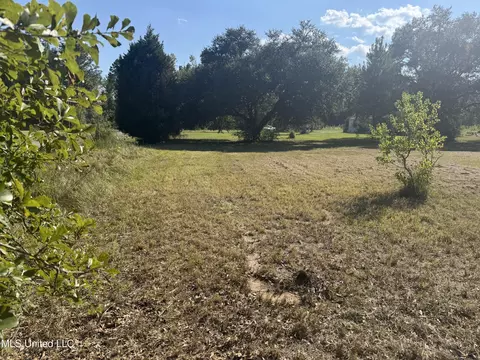 1233 Tannertown Rd, Lucedale, MS 39452 photo 2