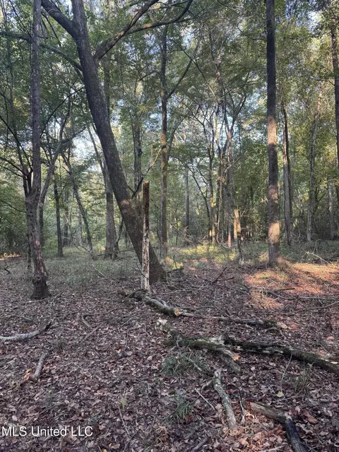 00 S Siwell Rd, Byram, MS 39212 photo 17