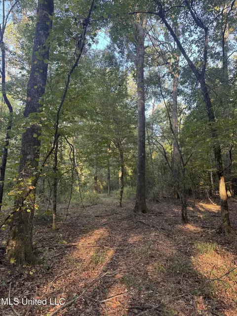 00 S Siwell Rd, Byram, MS 39212 photo 18
