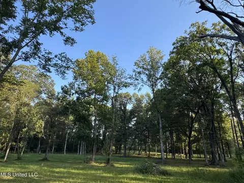 00 S Siwell Rd, Byram, MS 39212 photo 16