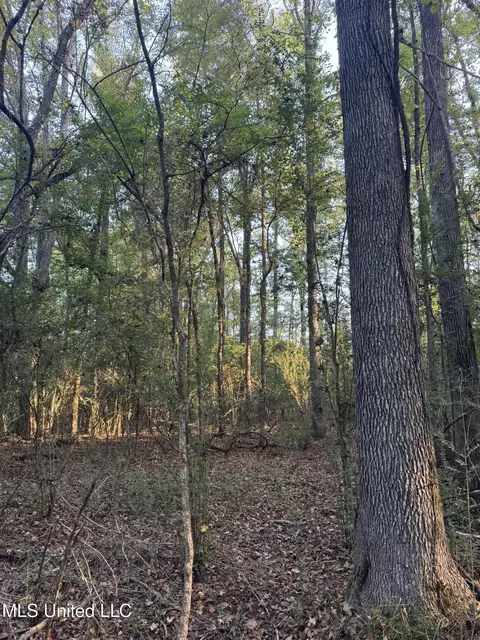 00 S Siwell Rd, Byram, MS 39212 photo 13