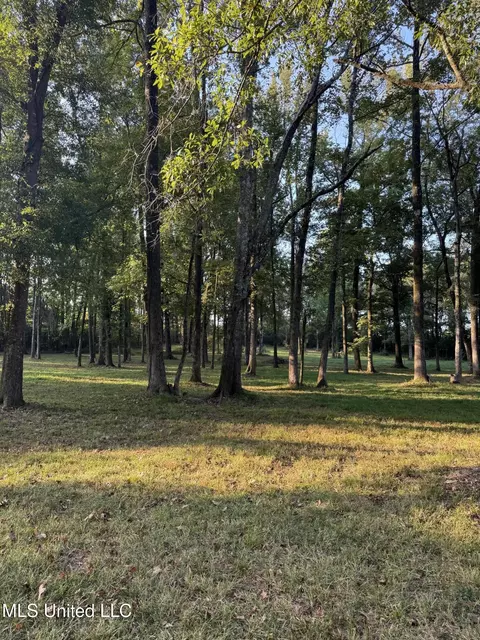 00 S Siwell Rd, Byram, MS 39212 photo 6