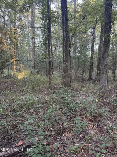 00 S Siwell Rd, Byram, MS 39212 photo 11