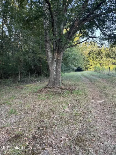 00 S Siwell Rd, Byram, MS 39212 photo 7