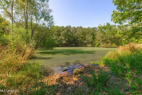295 Posey Ln, Vaughan, MS 39179 photo 25
