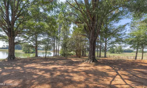 295 Posey Ln, Vaughan, MS 39179 photo 38
