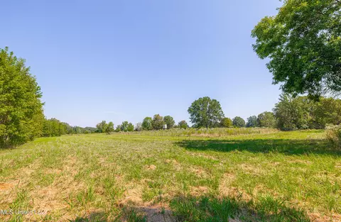295 Posey Ln, Vaughan, MS 39179 photo 20