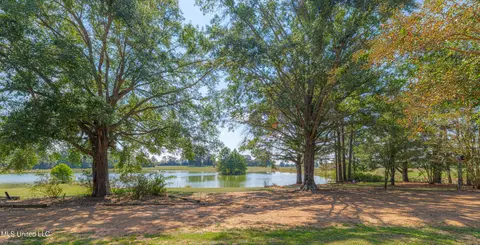 295 Posey Ln, Vaughan, MS 39179 photo 39