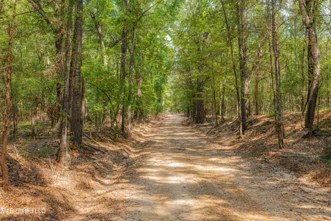 295 Posey Ln, Vaughan, MS 39179 photo 33