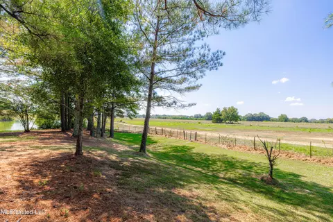 295 Posey Ln, Vaughan, MS 39179 photo 37