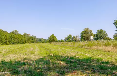 295 Posey Ln, Vaughan, MS 39179 photo 24