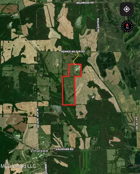 295 Posey Ln, Vaughan, MS 39179 photo 83