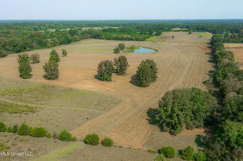 295 Posey Ln, Vaughan, MS 39179 photo 29
