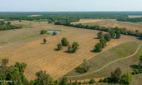 295 Posey Ln, Vaughan, MS 39179 photo 30