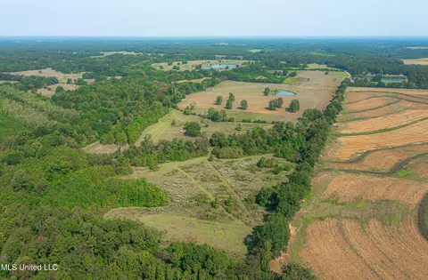 295 Posey Ln, Vaughan, MS 39179 photo 10