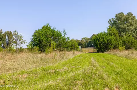 295 Posey Ln, Vaughan, MS 39179 photo 26