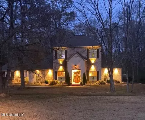 Exterior - 132 Sage Hill Rd, Brandon, MS 39042 photo 6 of 19