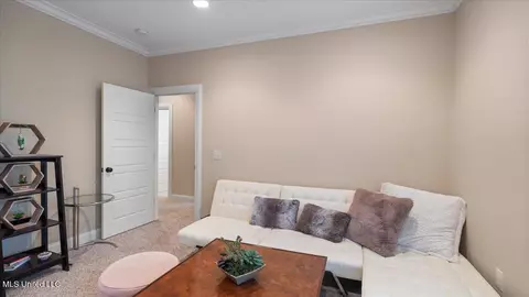 Other - 132 Sage Hill Rd, Brandon, MS 39042 photo 10 of 21