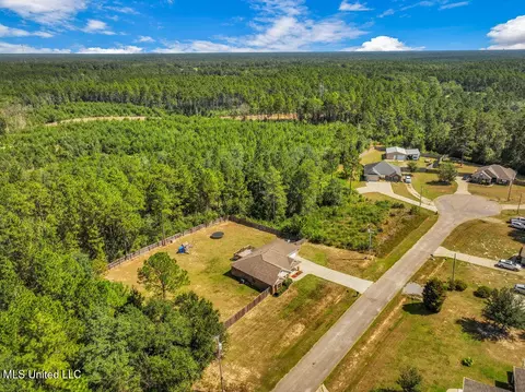 View/Area - 21615 E Ridge Dr, Saucier, MS 39574 photo 5 of 5