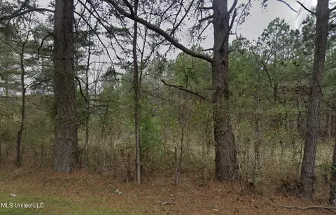 Sleepy Hollow Road, Terry, MS 39170