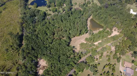 149 Lone Pine Rd, Canton, MS 39046 photo 12
